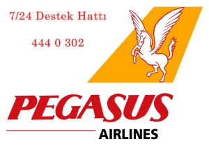 pegasus_logo_714666